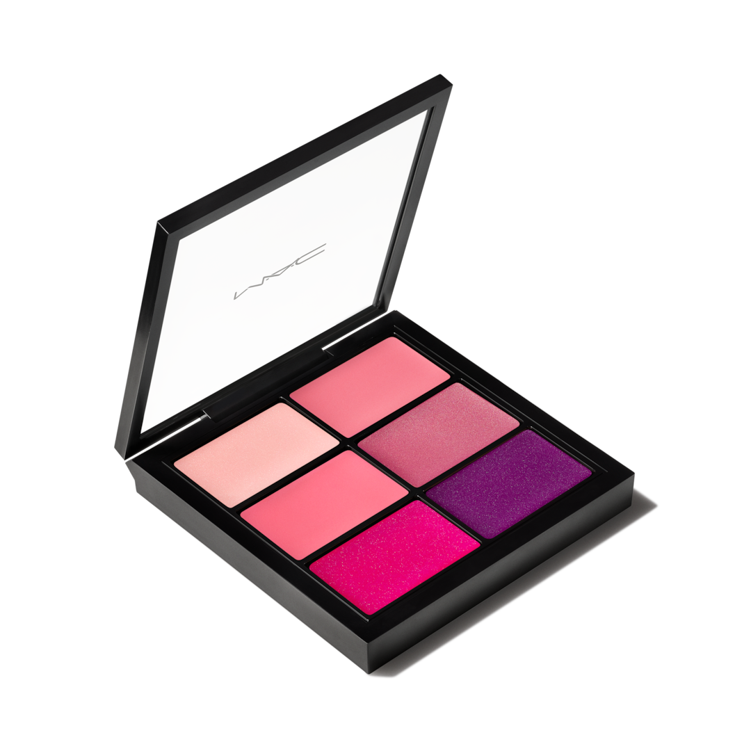 PRO Lip Palette / 6 Preferred Pinks